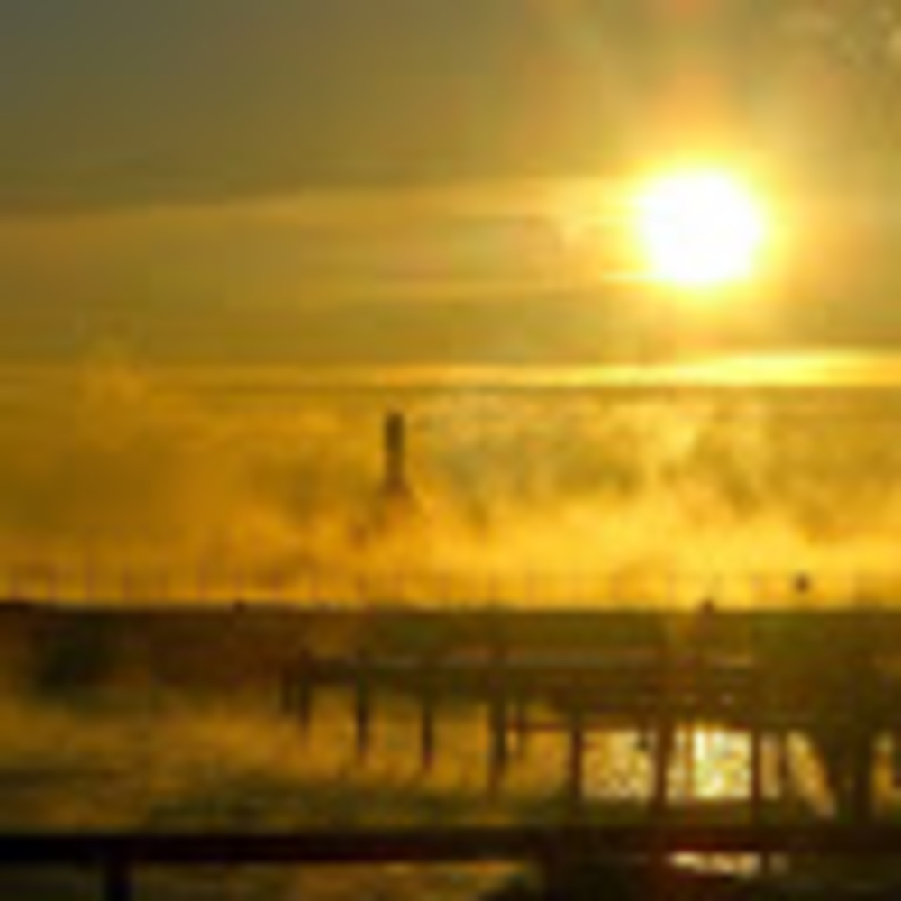 Meet your Posher, Terrie